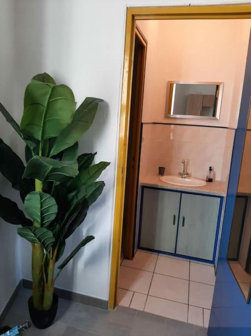 Apartmán Confortable En Hyper Centre Parking Gratuit Dans La Rue Acces Avec Boite A Clee Castres  Exteriér fotografie